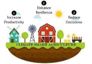 Directions for Investments in sustainable agricultural mechanization with Conservation Agriculture